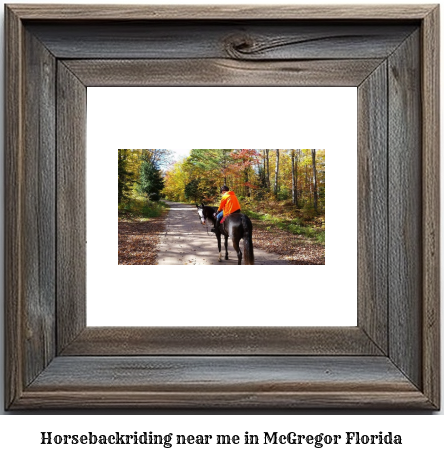 horseback riding near me in McGregor, Florida